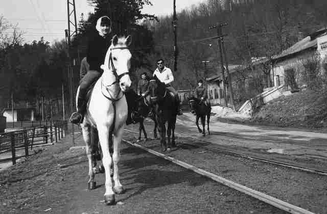 61 - Barca · Eva Kendeova (horses, train tracks)