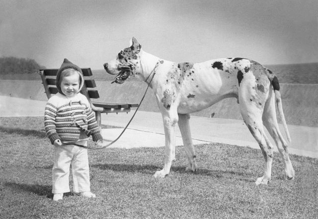 75.Nov - Burlington · Alica Dusil (Cezar, Spencer Smith Park)
