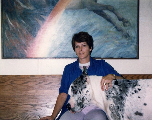 82 - Burlington · Eva Dusil (Veterinarian, Cezar)