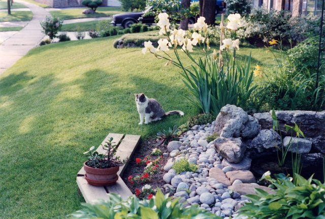 93.Jun.11 - Burlington · Inchy Dusil (garden)