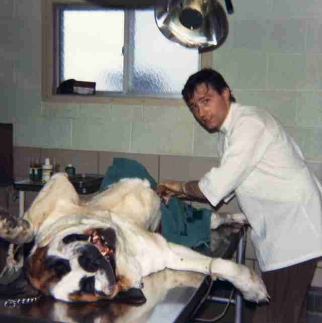 72 - Brampton · Vaclav Dusil (Veterinarian, surgery)