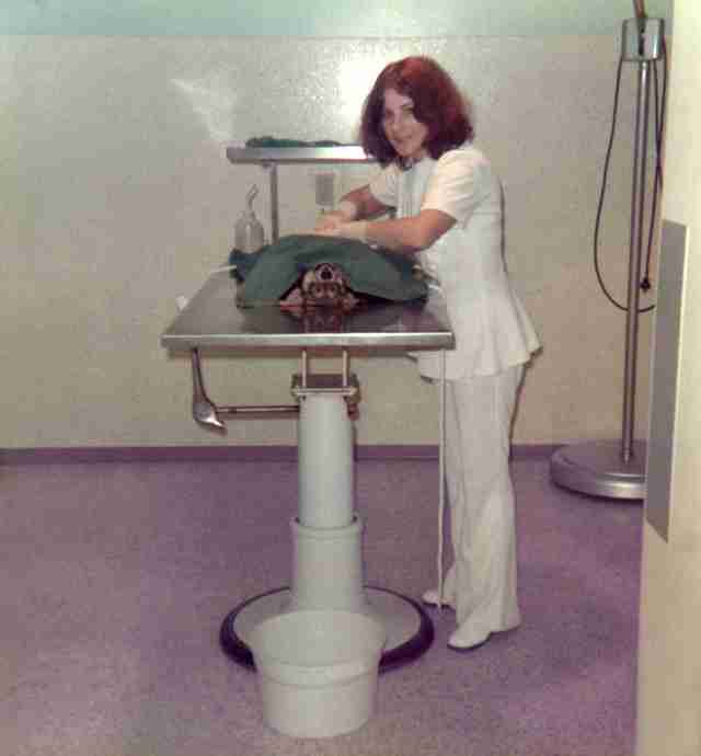 74.Jan - Oakville · Eva Dusil (Veterinarian, Trafalgar Animal Hospital surgery)