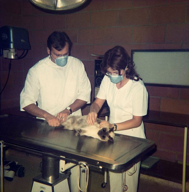 75.Jun - Burlington · Vaclav & Eva Dusil (Veterinarian, examination)