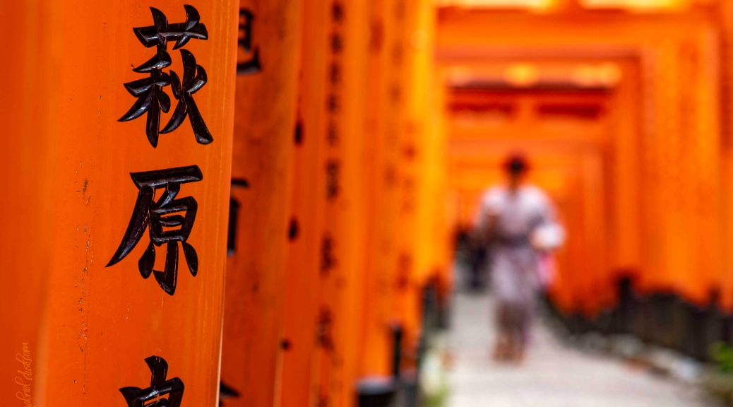 Nude, Nudes, Lingerie, Naked, Photo graphy, Playboy, Beautiful, Sexy, Sexy Women, Women, Gorgeous, Boudoir, Photographer, Photography, Beauty, Maxim, Pretty, Provocative, Studio Photos, Nude Photography, Sexy Photo, Lingerie Model, Nude Art, Photo Shoot, Photoshoot, Art Nude, Fine Arts, Glamour, Sexy Model, Stunning, Photography Studio, Art Model, Elegant, Nude Photoshoot, Professional Photographer, Gabriel Dusil, Dusil Photography, dusil.org, gabrieldusil.com